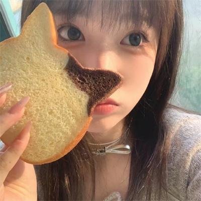 唐加美路主教